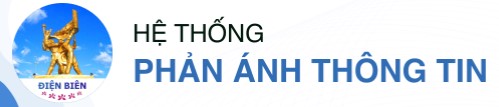 Hệ thống phản ánh