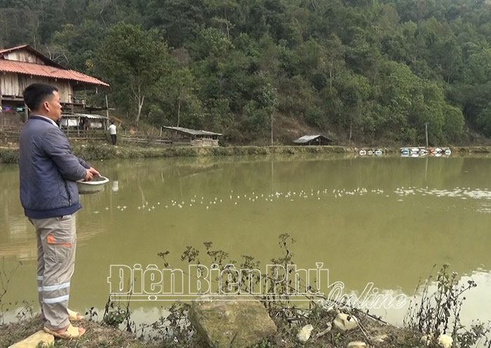 Tuần Giáo phát triển nuôi thủy sản