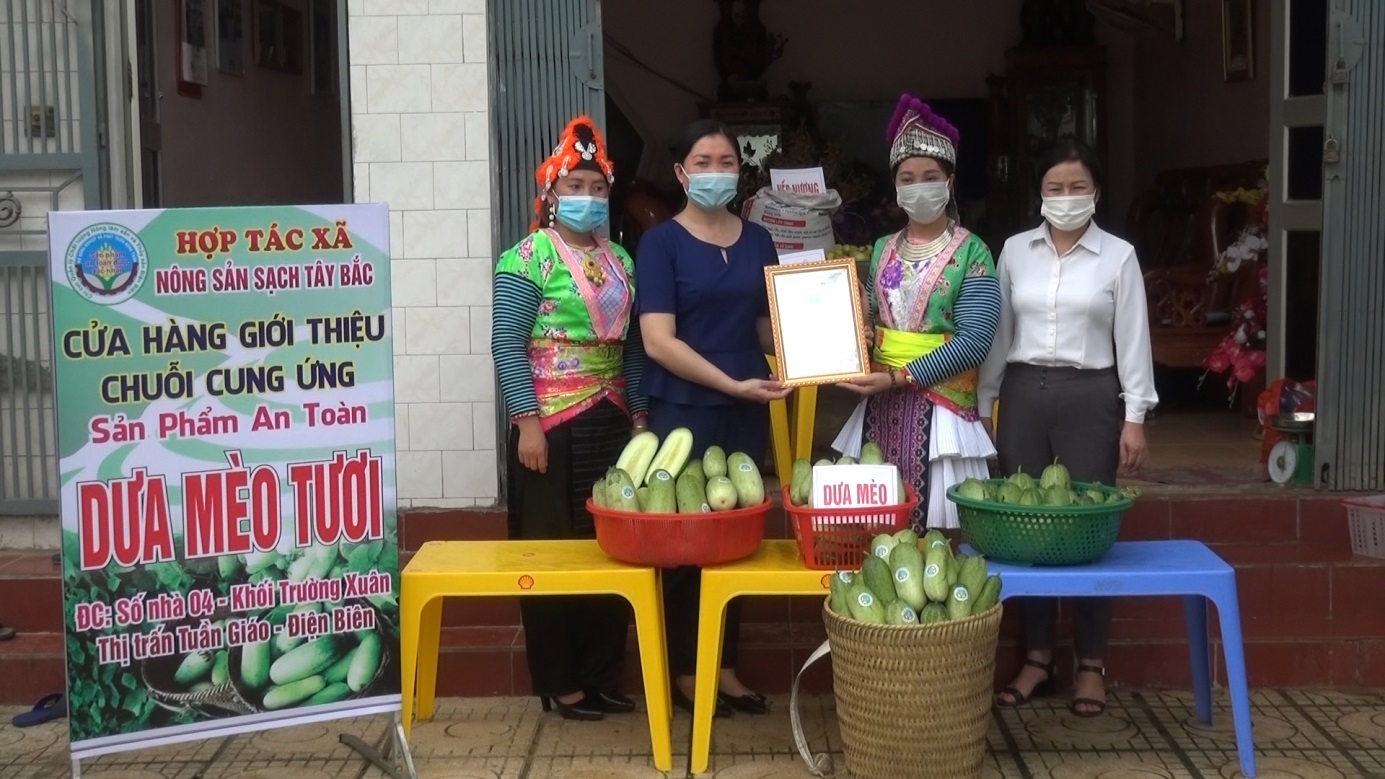 Xã Tỏa Tình đón nhận giấy xác nhận Sản phẩm chuỗi cung ứng thực phẩm an toàn quả dưa mèo tươi