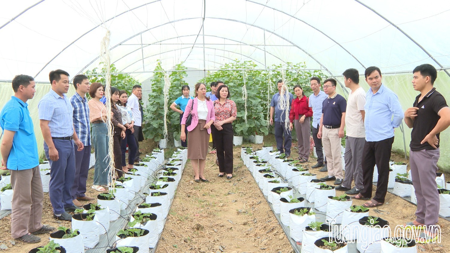 Đoàn công tác huyện Bạch Thông -Tỉnh Bắc Kạn trao đổi kinh nghiệm tại huyện Tuần Giáo